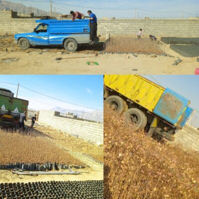 تحویل به‌ موقع